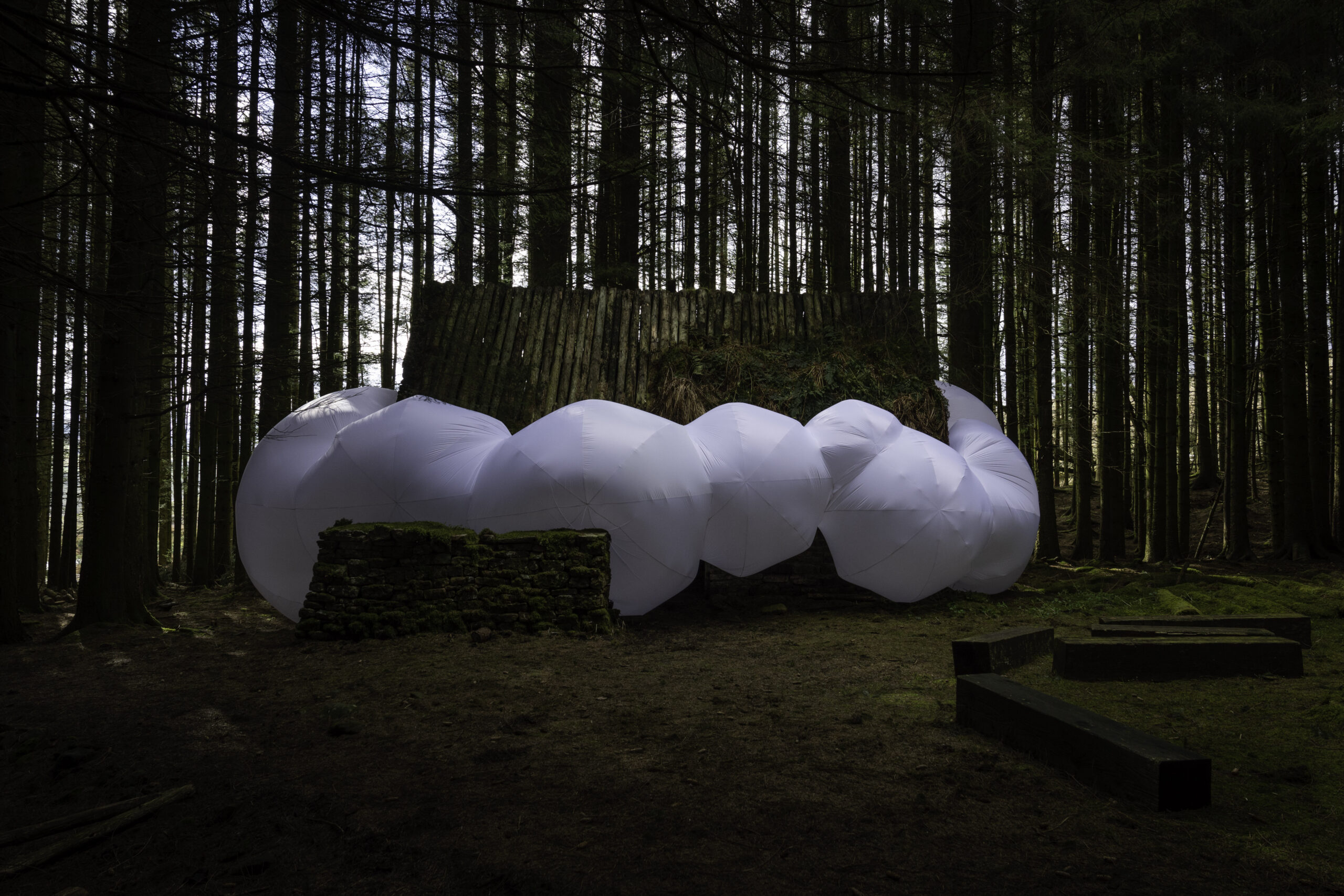 An inflatable sculpture around a cottage in the woods.