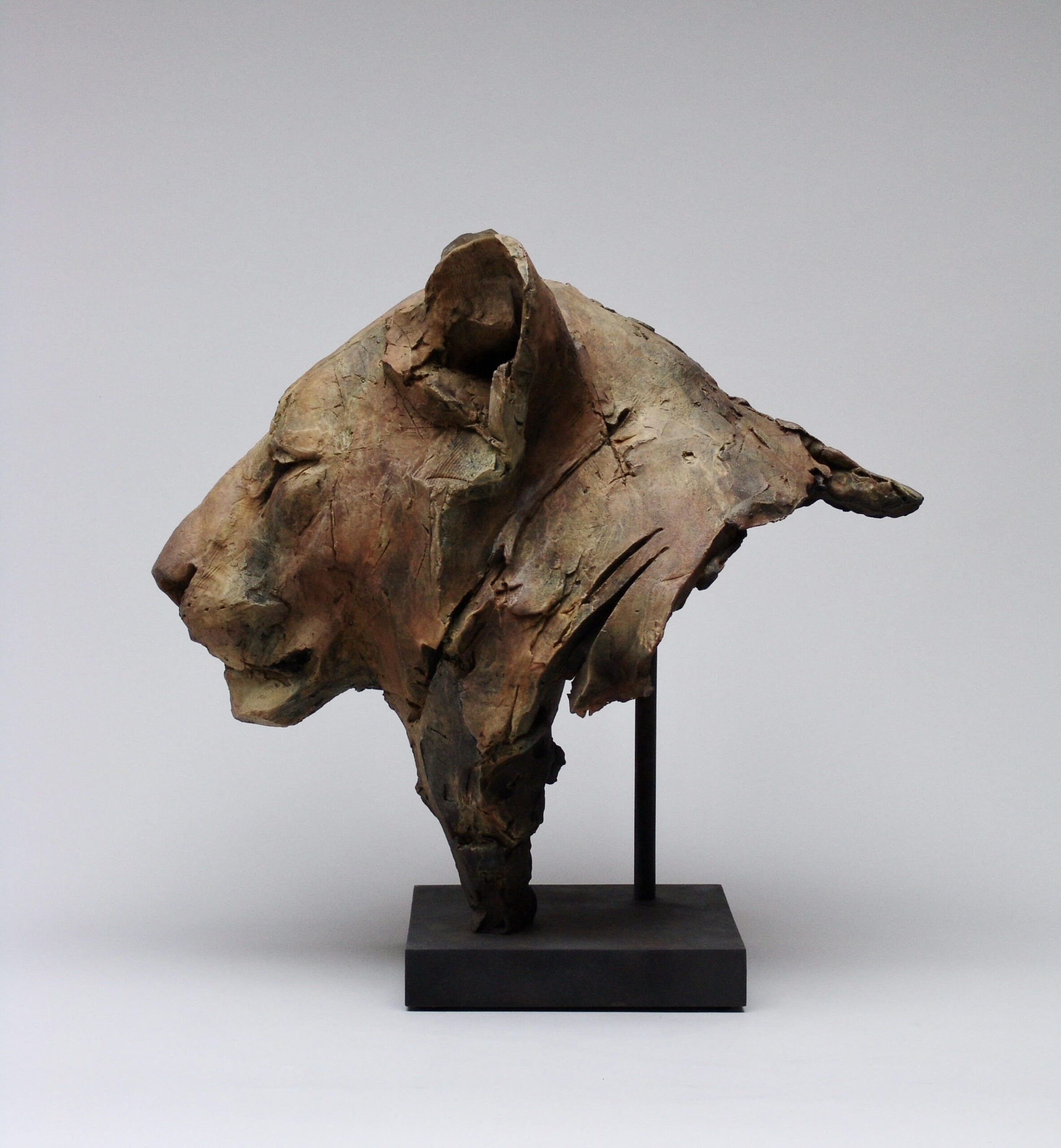 Bronze sculpture depicting a lion's head.