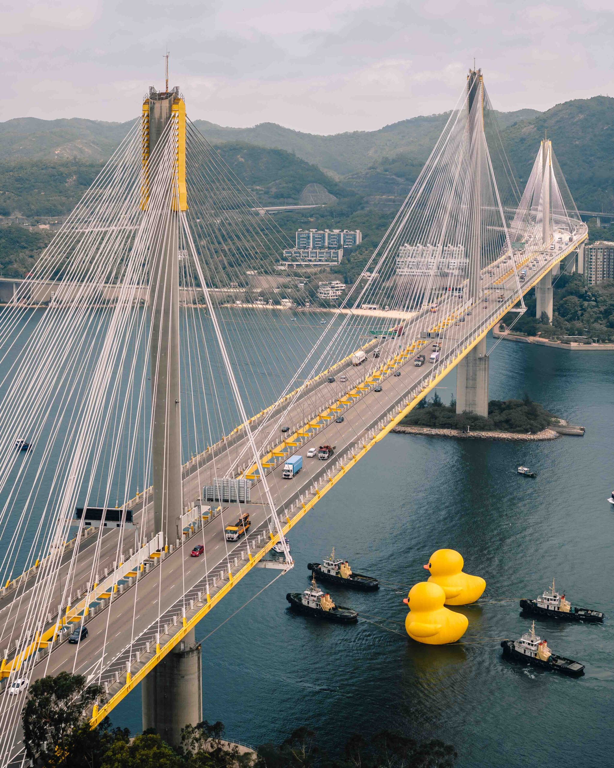 Two giant inflatable rubber ducks being towed under a bridge in Hong Kong.