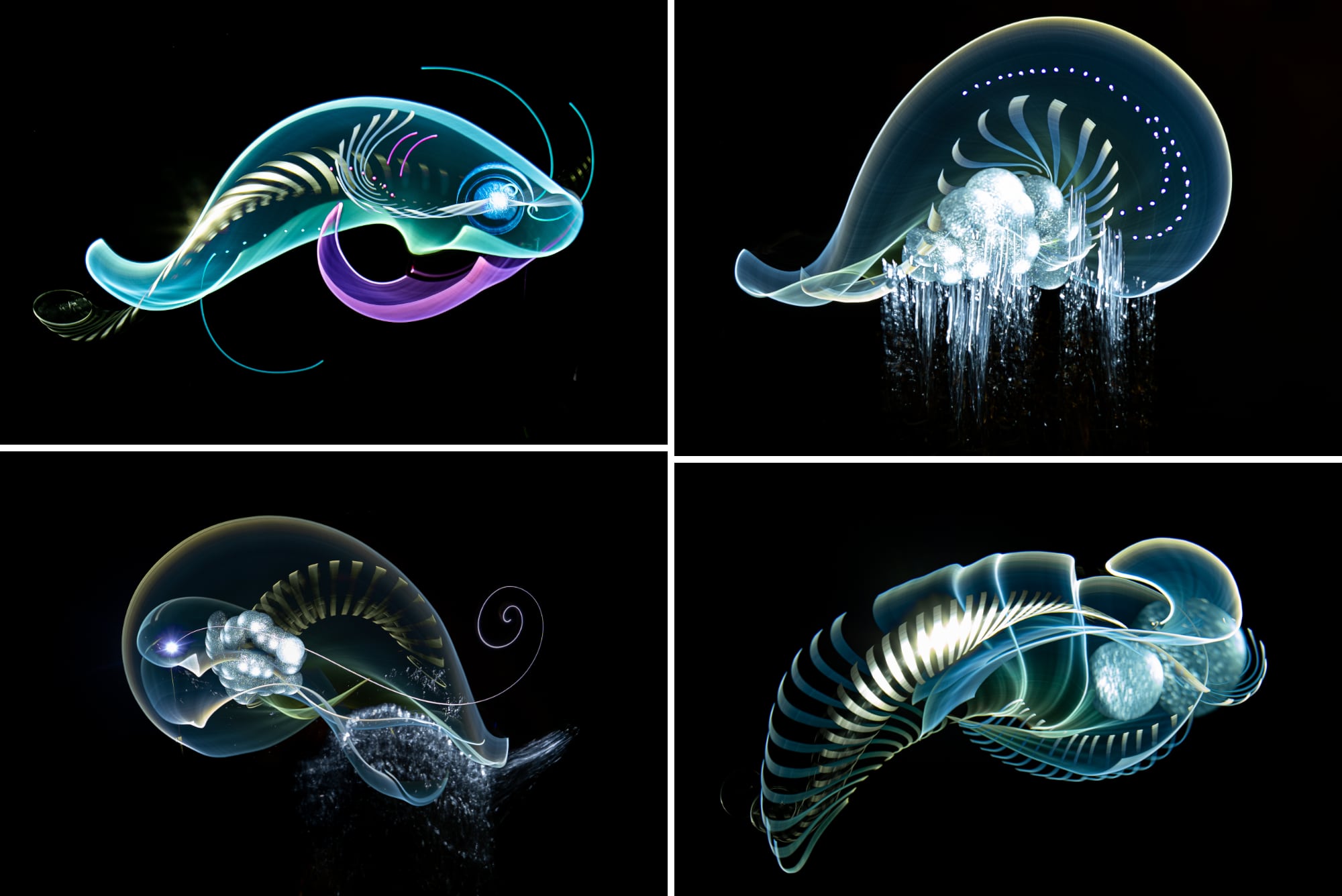 Four bright otherworldly marine animals on black backdrops