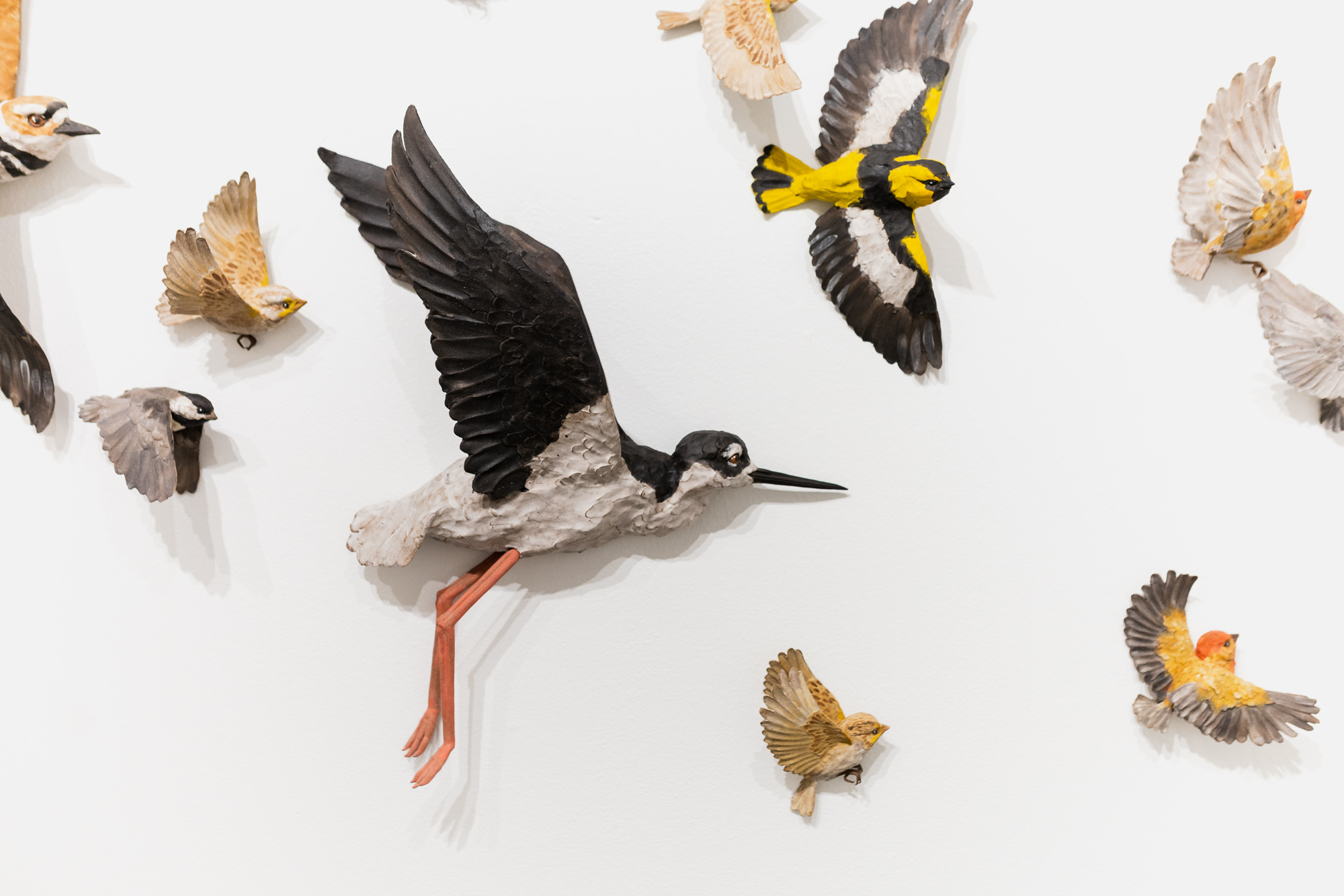 An installation of realistic ceramic birds on a wall.