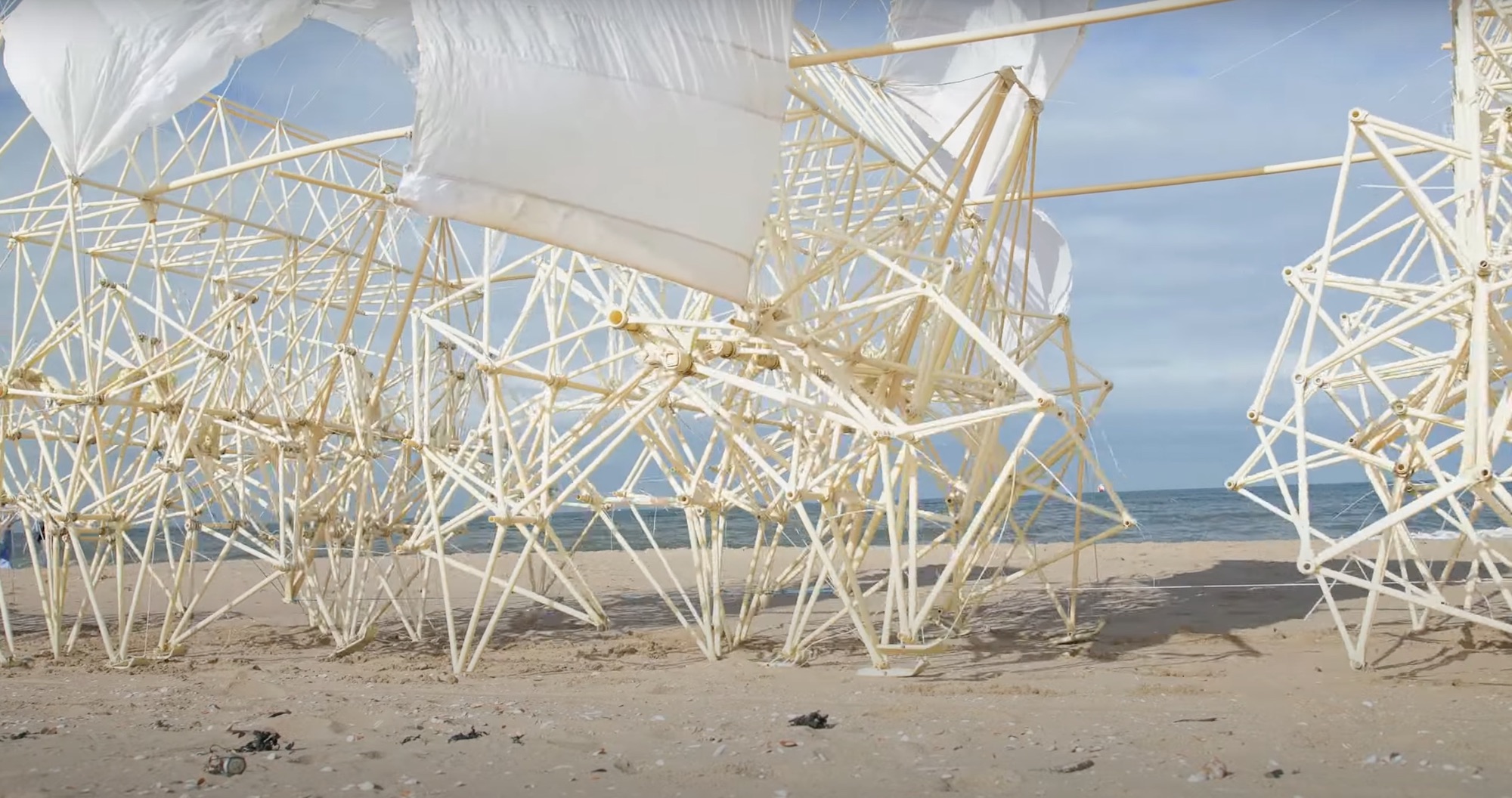 A detail of a kinetic sculpture that moves across a beach using piping and sails in the wind.