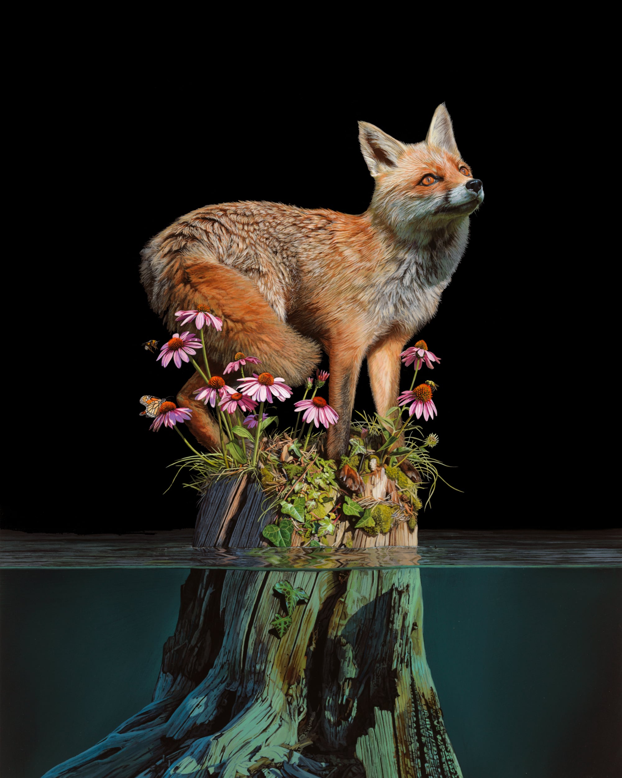 a fox is trapped on a tree stump with coneflowers growing around it