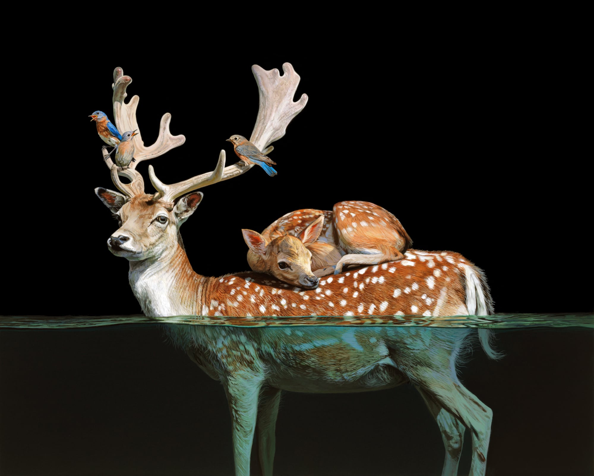 a fawn curls up on its mother's back with birds in her antlers. water rises to her midsection