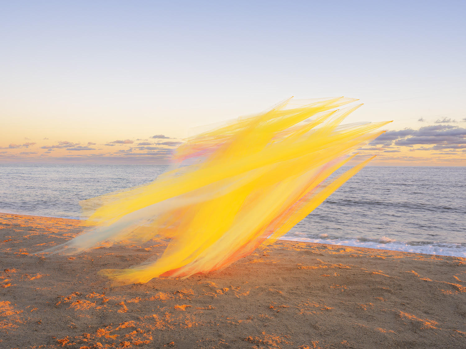 A photograph of a swathe of yellow tulle floating in the wind on a beach.