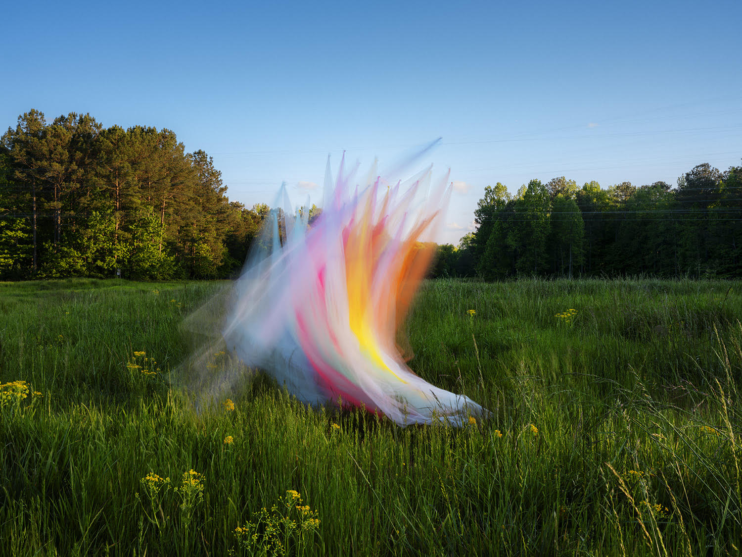 A photograph of a swathe of tulle floating in the wind in a landscape.