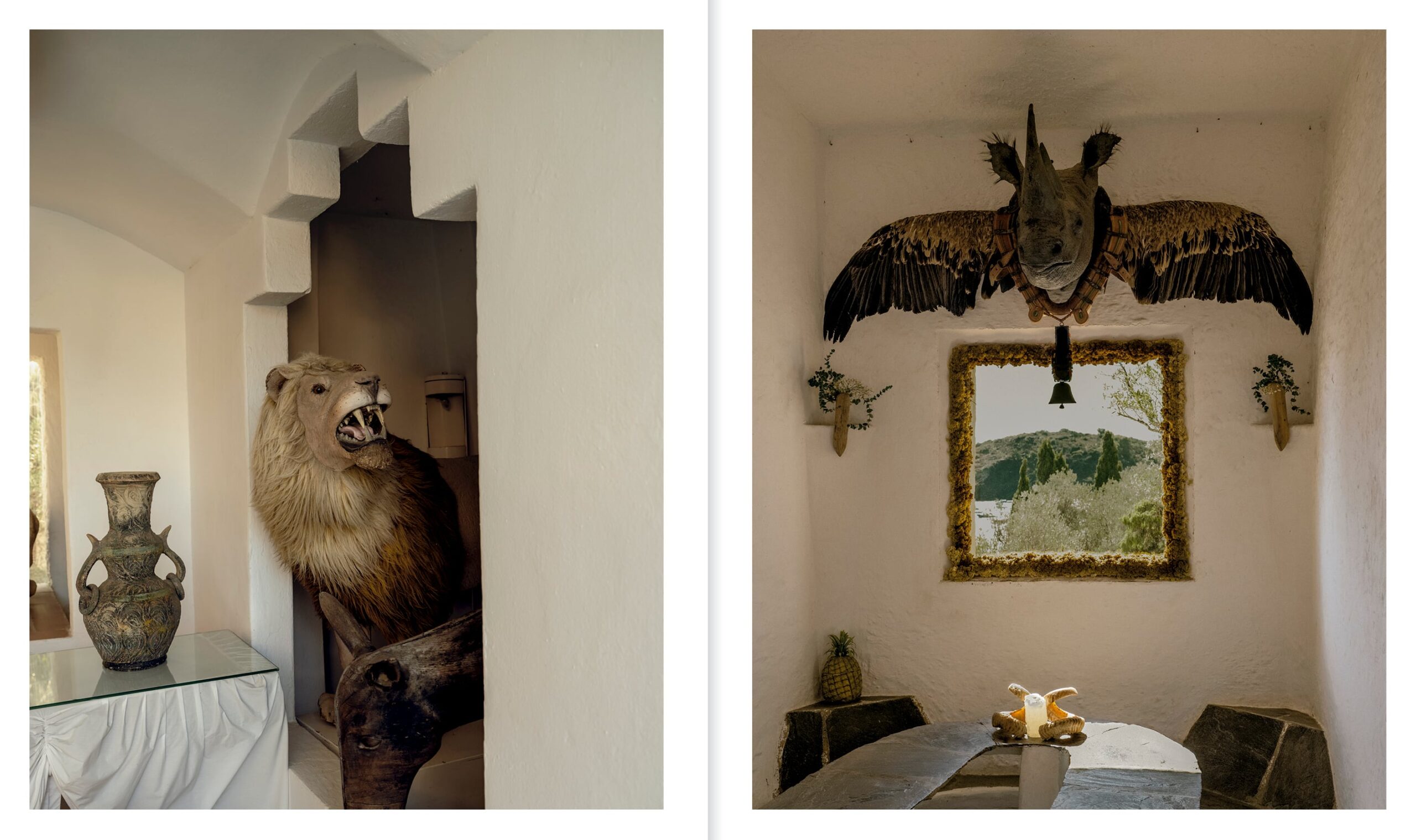 a book spread open to two images. on the left is a taxidermy lion with snarling teeth. on the right is a rhino attached to birds wings over a window