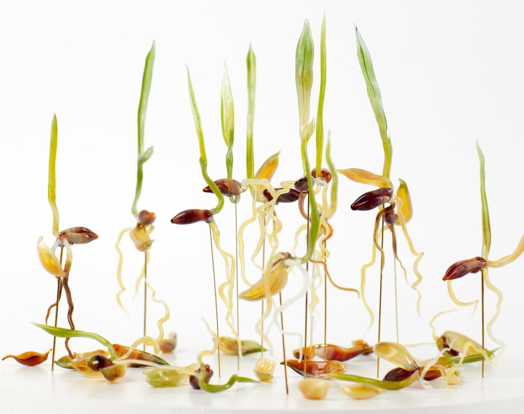 Through Delicate Glass Sprouts Nataliya Vladychko Emphasizes the Wild Resiliency | RetinaComics