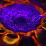 In ‘Creation,’ Vadim Sherbakov Captures a Macro Cosmos in Glitter and Ink